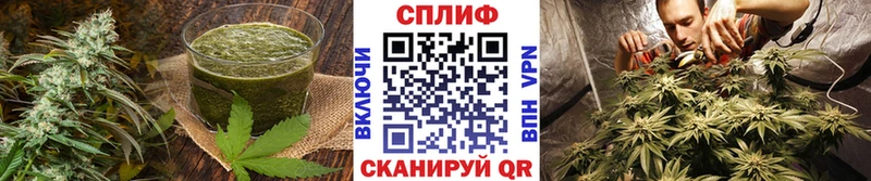 Купить закладки  Усолье-Сибирское  Еда ТГК конопля 